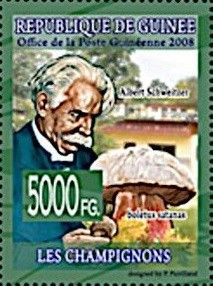 Albert Schweitzer and Boletus satanas