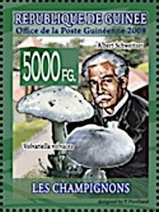 Albert Schweitzer and Volvariella volvacea