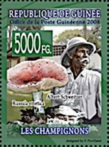 Albert Schweitzer and Russula emetica
