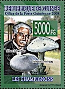 Albert Schweitzer and Volvariella volvacea