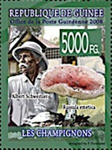 Albert Schweitzer and Russula emetica
