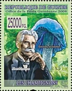 Albert Schweitzer and Entoloma hochstetteri
