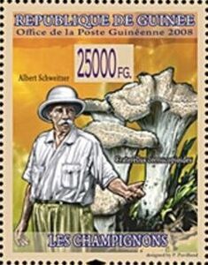 Albert Schweitzer and Craterellus cornucopioides