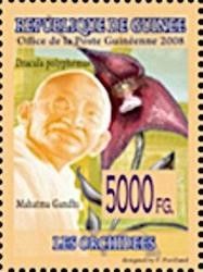 Mahatma Gandhi and Dracula polyphemus