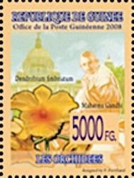 Mahatma Gandhi and Dendrobium fimbriatum