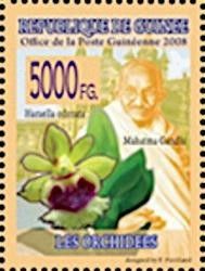 Mahatma Gandhi and Haraella odorata