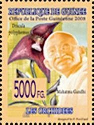 Mahatma Gandhi and Dracula polyphemus
