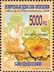 Mahatma Gandhi and Dendrobium fimbriatum