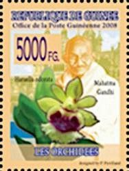 Mahatma Gandhi and Haraella odorata