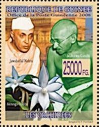 Mahatma Gandhi, Jawaharal Nehru and Aerangis biloba