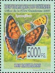 Butterflies