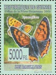 Butterflies