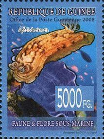 Aphelodoris varia
