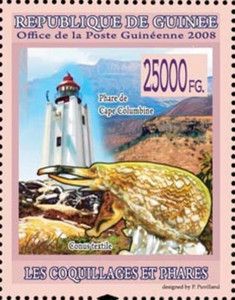 Conus textile and Lighthouse of Cape Columbine