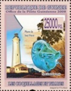 Nautilus belauensis and Lighthouse of Seal Point