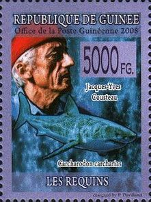 Jacques Cousteau and White Shark (Carcharodon carcharias)