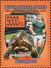 Bismarck du Plessis and Geochelone pardalis