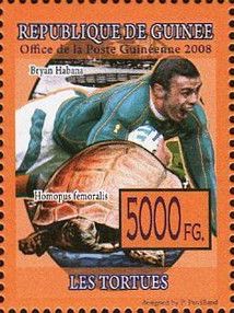 Bryan Habana and Homopus femoralis
