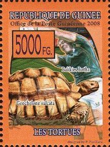 J. P. "Bakkies" Botha and Geochelone sulcata