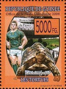 Bismarck du Plessis and Geochelone pardalis