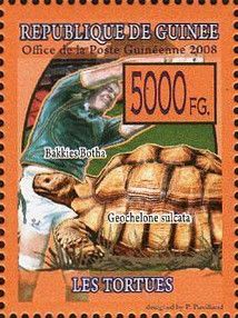 J. P. "Bakkies" Botha and Geochelone sulcata