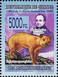 Charles Lucien Bonaparte and Thylacinus cynocephalus