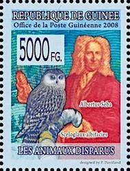 Albertus Seba and Sceloglaux albifacies