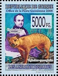 Charles Lucien Bonaparte and Thylacinus cynocephalus