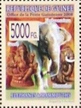 Asian Elephant (Elephas maximus)