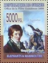 Mammmoth (Mammuthus sp.), Georges Cuvier (1769-1832)