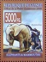 African Elephant (Loxodonta africana), Mammoth