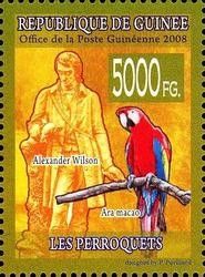 Scarlet Macaw (Ara macao), Alexander Wilson