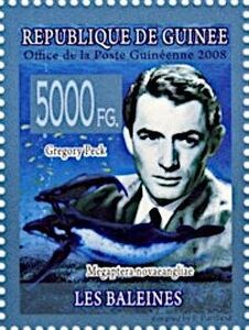 Gregory Peck, Humpback Whale (Megaptera novaeangliae)