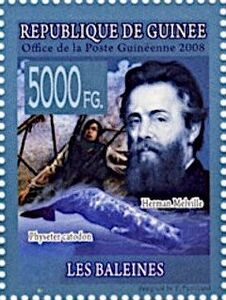 Herman Melville, Sperm Whale (Physeter catodon)