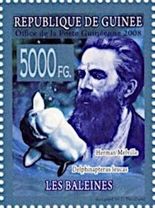 Herman Melville, Beluga (Delphinapterus leucas)