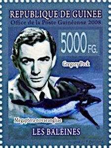 Gregory Peck, Humpback Whale (Megaptera novaeangliae)