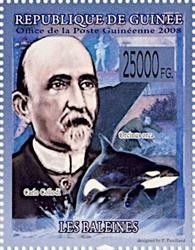 Carlo Collodi and Orcina orca