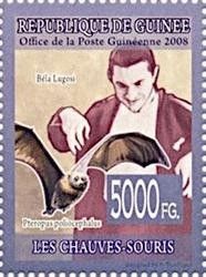 Bela Lugosi, Grey-headed Flying Fox (Pteropus poliocephalus)