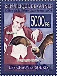 Bela Lugosi, Grey-headed Flying Fox (Pteropus poliocephalus)