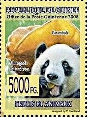Carambole (Averrhoa carambola) and Great Panda