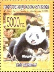 Giant Panda (Ailuropoda melanoleuca)