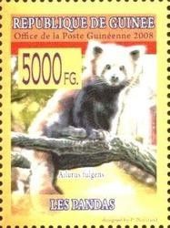 Red Panda (Ailurus fulgens)