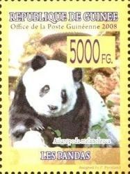 Giant Panda (Ailuropoda melanoleuca)