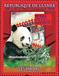Giant Panda (Ailuropoda melanoleuca)