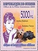 Yorkshire Terrier (Canis lupus familiaris), Audrey Hepburn