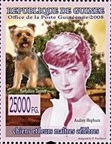 Audrey Hepburn and Yorkshire Terrier