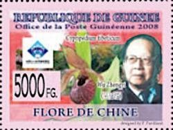 Wu Zhengyi - Cypripedium tibeticum
