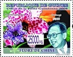 Wu Zhengyi - Nomocharis pardanthina