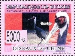 White-naped Crane (Grus vipio)