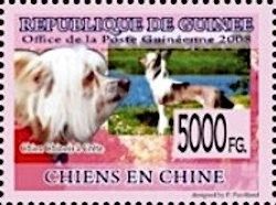 Chinese Crested